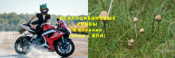 PSILOCYBIN Алексин