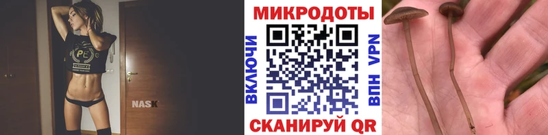 Псилоцибиновые грибы прущие грибы  Каменск-Уральский 
